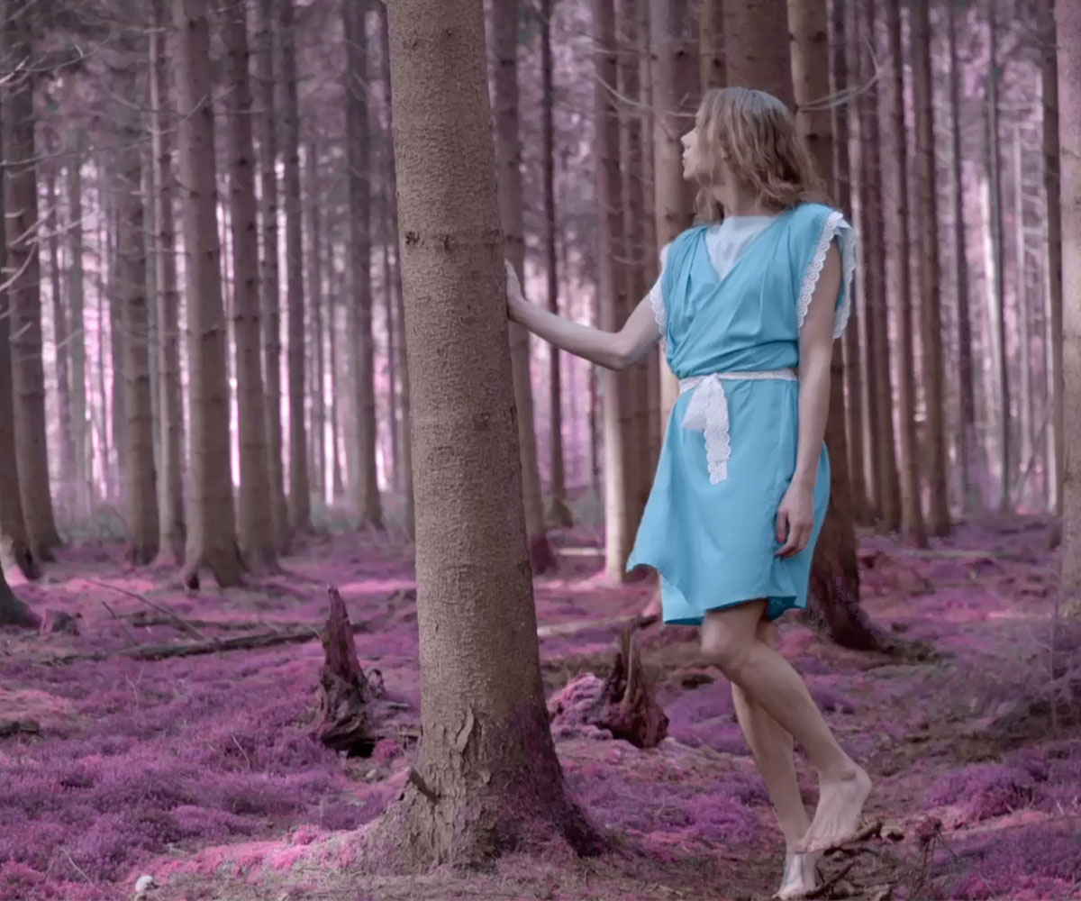 Out in the Woods