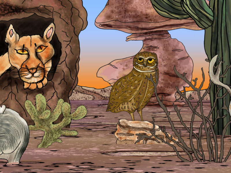 Fairy Fantastic! Presents: Tales of Transformation and Belonging at Carnegie Museum of Art