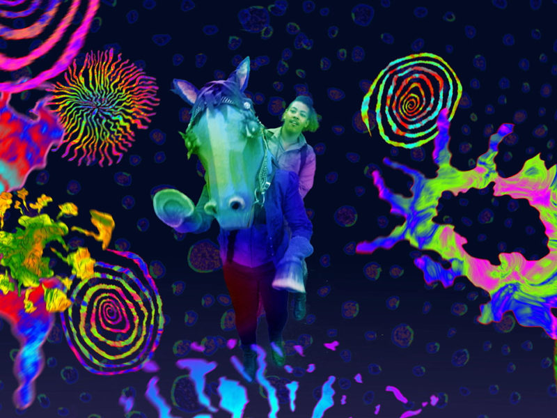 Out in the Woods and Over the Rainbow at Scottsdale Museum of Contemporary Art